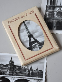 �p���̎ʐ^�W
