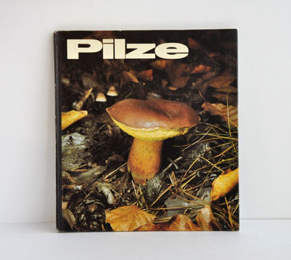 ���h�C�c�E�L�m�R�}�� ��Pilze��