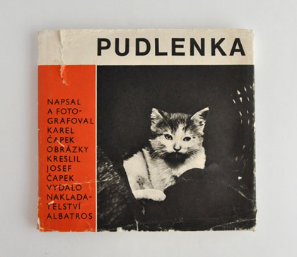 �J�����E�`���y�b�N�̎ʐ^�G�{��PUDLENKA��