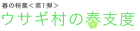 usgimura